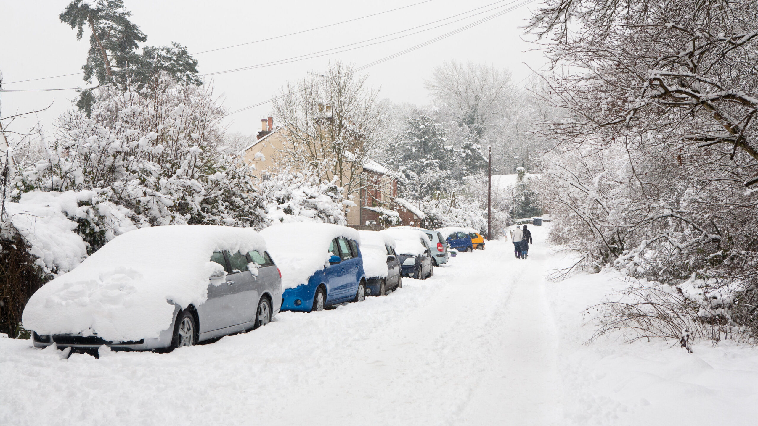 A heavily snow covered road in a residential area with several snow covered cars.