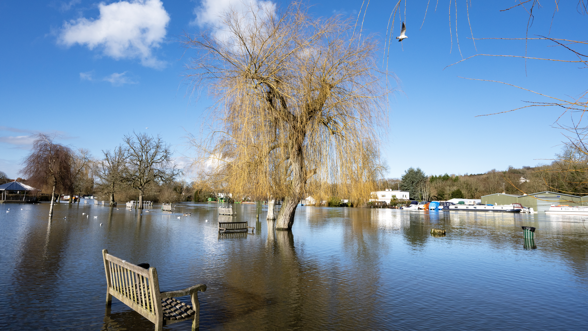 Flooded park with benches and the bottom of a tree partially submerged in water.